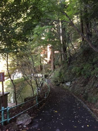 f:id:bennybebad:20170108171016j:plain f:id:bennybebad:20170108171016j:plain