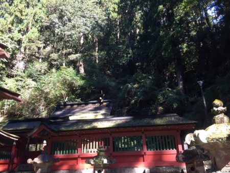 f:id:bennybebad:20170108171038j:plain f:id:bennybebad:20170108171038j:plain