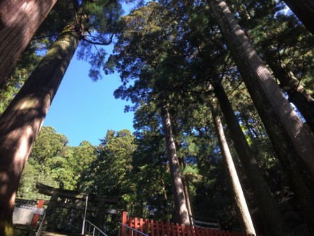 f:id:bennybebad:20170108171050j:plain f:id:bennybebad:20170108171050j:plain