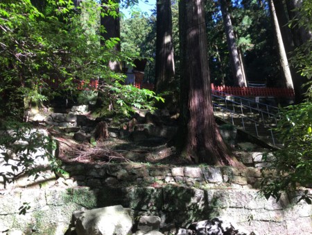 f:id:bennybebad:20170108171052j:plain f:id:bennybebad:20170108171052j:plain