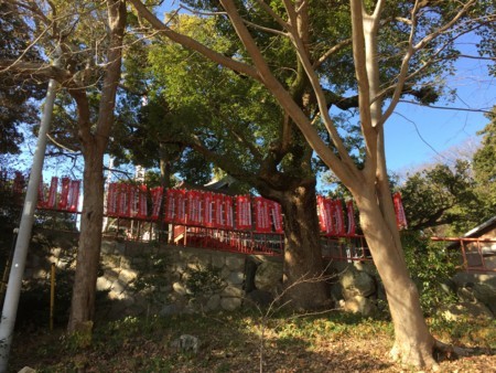 f:id:bennybebad:20170109123017j:plain f:id:bennybebad:20170109123017j:plain