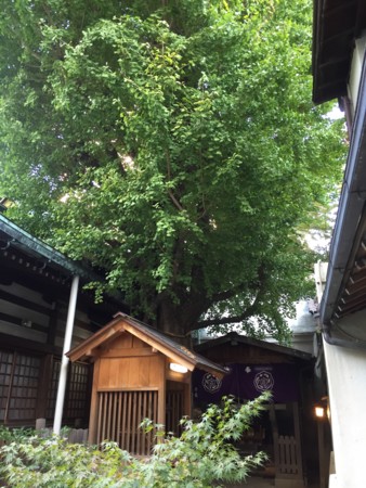 f:id:bennybebad:20170119210639j:plain