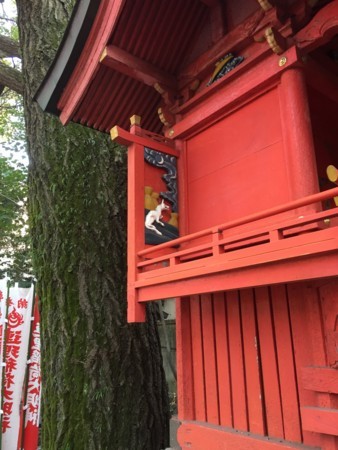 f:id:bennybebad:20170122105605j:plain f:id:bennybebad:20170122105605j:plain