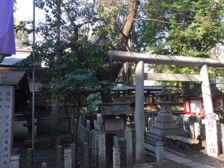 f:id:bennybebad:20170122110018j:plain f:id:bennybebad:20170122110018j:plain