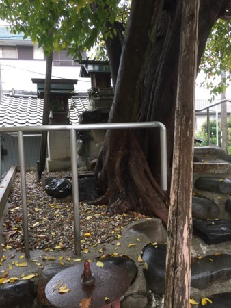 f:id:bennybebad:20170123204027j:plain f:id:bennybebad:20170123204027j:plain