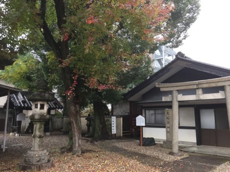 f:id:bennybebad:20170123204033j:plain f:id:bennybebad:20170123204033j:plain