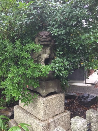 f:id:bennybebad:20170123204038j:plain f:id:bennybebad:20170123204038j:plain