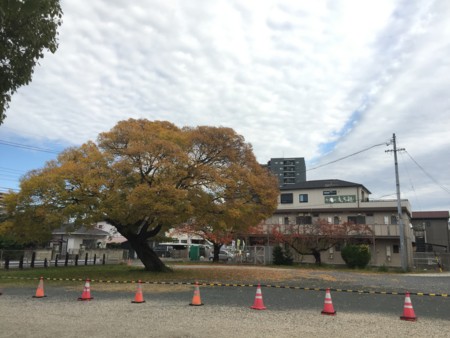 f:id:bennybebad:20170130213828j:plain