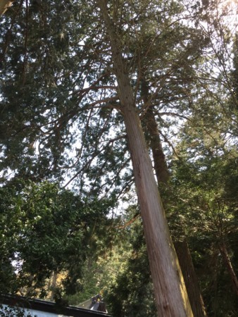 f:id:bennybebad:20170429104455j:plain