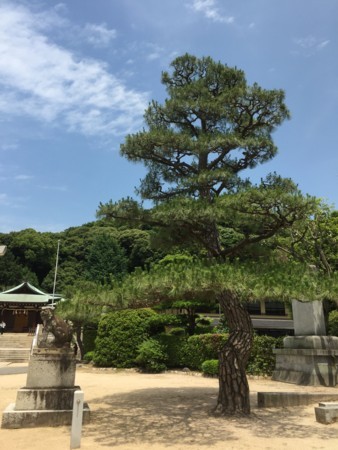 f:id:bennybebad:20170603124140j:plain