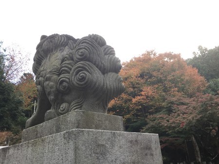 f:id:bennybebad:20171111112101j:plain