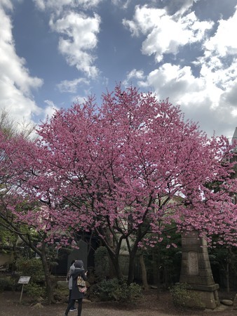 f:id:bennybebad:20180324121147j:plain f:id:bennybebad:20180324121147j:plain