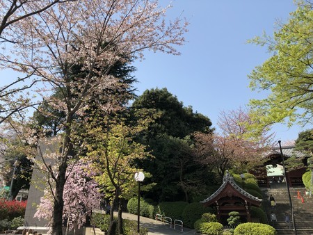 f:id:bennybebad:20180331131803j:plain f:id:bennybebad:20180331131803j:plain
