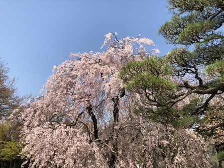 f:id:bennybebad:20180331134326j:plain f:id:bennybebad:20180331134326j:plain