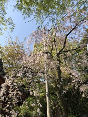 f:id:bennybebad:20180331135125j:plain f:id:bennybebad:20180331135125j:plain