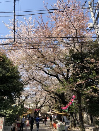f:id:bennybebad:20180331143912j:plain