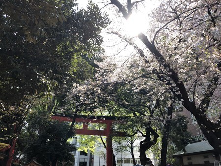 f:id:bennybebad:20180401091901j:plain f:id:bennybebad:20180401091901j:plain