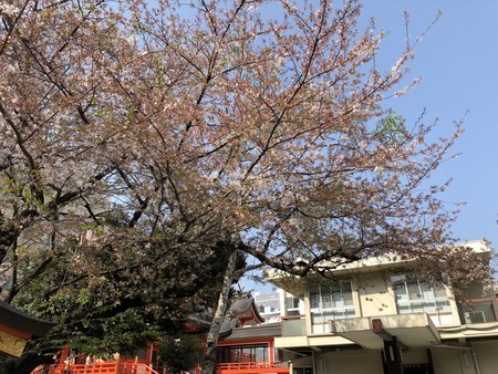 f:id:bennybebad:20180401092612j:plain f:id:bennybebad:20180401092612j:plain