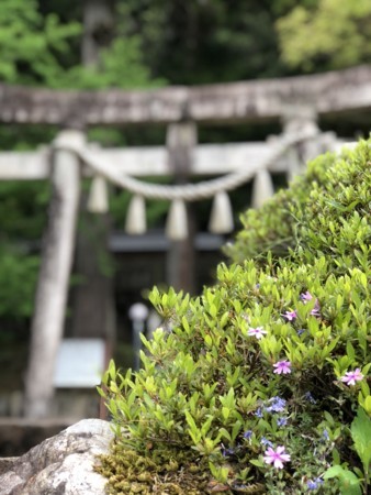 f:id:bennybebad:20180430111257j:plain f:id:bennybebad:20180430111257j:plain