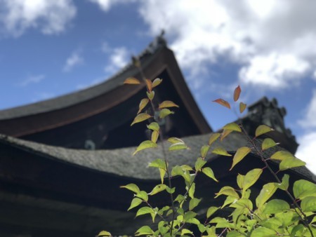 f:id:bennybebad:20180519111847j:plain