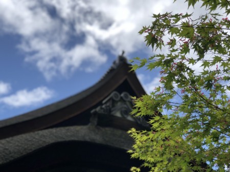 f:id:bennybebad:20180519111858j:plain