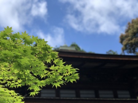 f:id:bennybebad:20180519112152j:plain