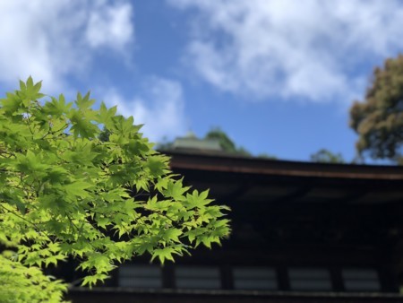 f:id:bennybebad:20180519112155j:plain