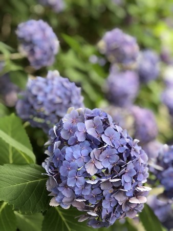 f:id:bennybebad:20180616133029j:plain f:id:bennybebad:20180616133029j:plain