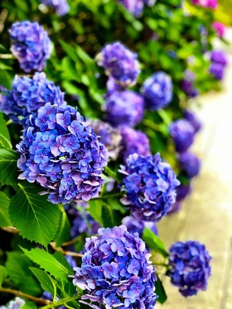 f:id:bennybebad:20180616133042j:plain f:id:bennybebad:20180616133042j:plain