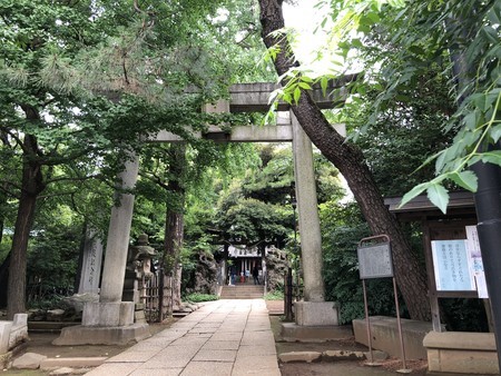 f:id:bennybebad:20180617111224j:plain f:id:bennybebad:20180617111224j:plain