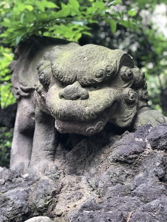 f:id:bennybebad:20180617111540j:plain f:id:bennybebad:20180617111540j:plain