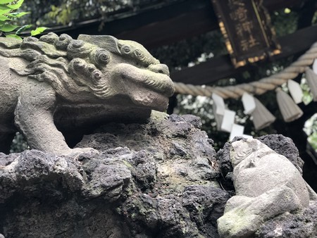 f:id:bennybebad:20180617111718j:plain f:id:bennybebad:20180617111718j:plain