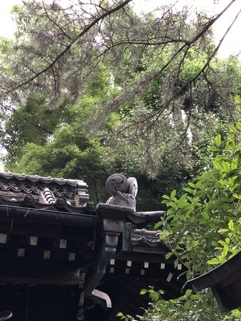 f:id:bennybebad:20180617112327j:plain f:id:bennybebad:20180617112327j:plain