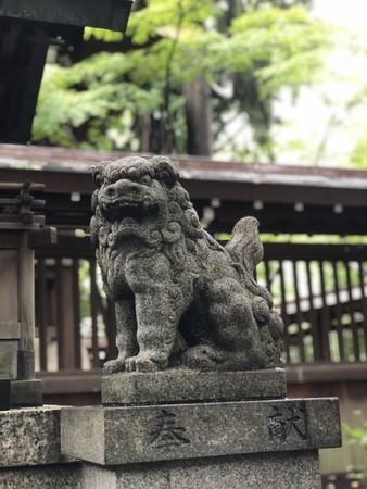 f:id:bennybebad:20180901105232j:plain