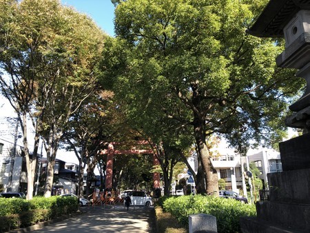 f:id:bennybebad:20181029094316j:plain