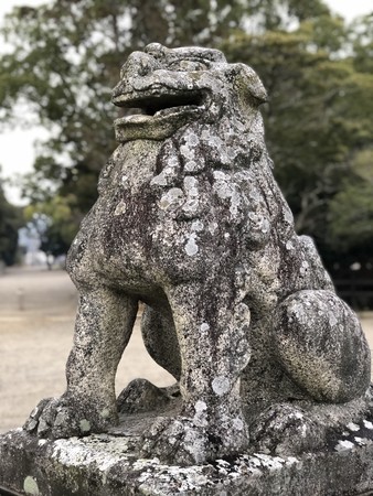 f:id:bennybebad:20190120082616j:plain f:id:bennybebad:20190120082616j:plain