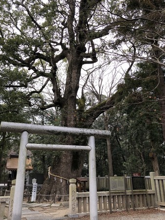 f:id:bennybebad:20190120084115j:plain f:id:bennybebad:20190120084115j:plain