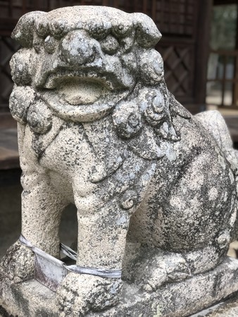 f:id:bennybebad:20190120085430j:plain f:id:bennybebad:20190120085430j:plain