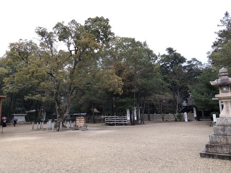 f:id:bennybebad:20190120085531j:plain f:id:bennybebad:20190120085531j:plain