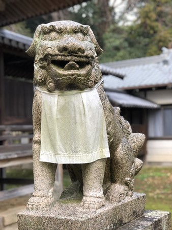 f:id:bennybebad:20190120112018j:plain