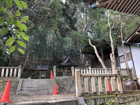 f:id:bennybebad:20190120112730j:plain