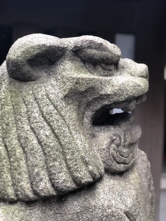 f:id:bennybebad:20190211120717j:plain f:id:bennybebad:20190211120717j:plain