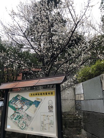 f:id:bennybebad:20190211121135j:plain f:id:bennybebad:20190211121135j:plain