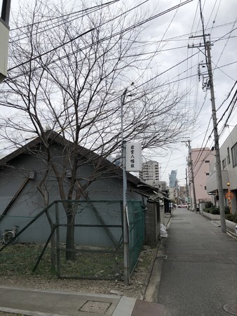 f:id:bennybebad:20190323093501j:plain