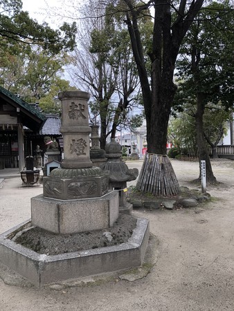 f:id:bennybebad:20190323095222j:plain