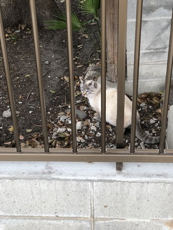 f:id:bennybebad:20190323095459j:plain