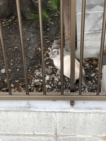 f:id:bennybebad:20190323095501j:plain