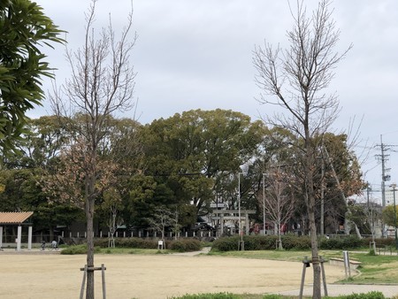f:id:bennybebad:20190323095834j:plain
