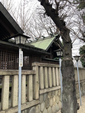 f:id:bennybebad:20190323100614j:plain