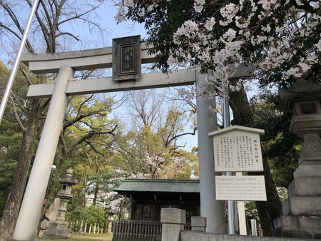 f:id:bennybebad:20190406090315j:plain